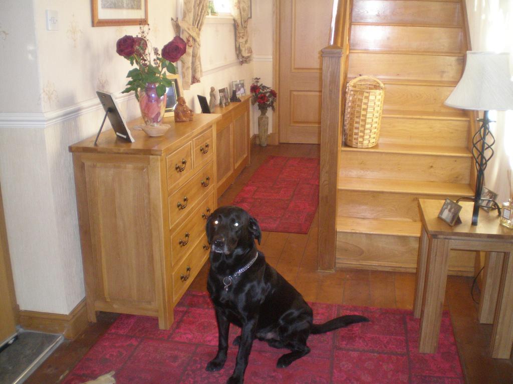 The Old School And Betty'S B&B Whitehaven Dış mekan fotoğraf